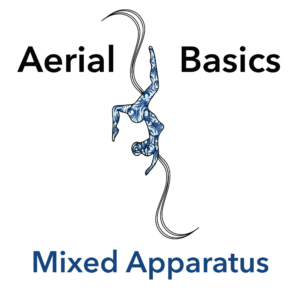 aerial basics