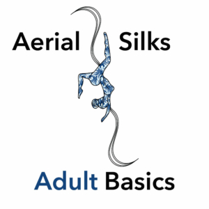Beginner Aerial Silks for Adults